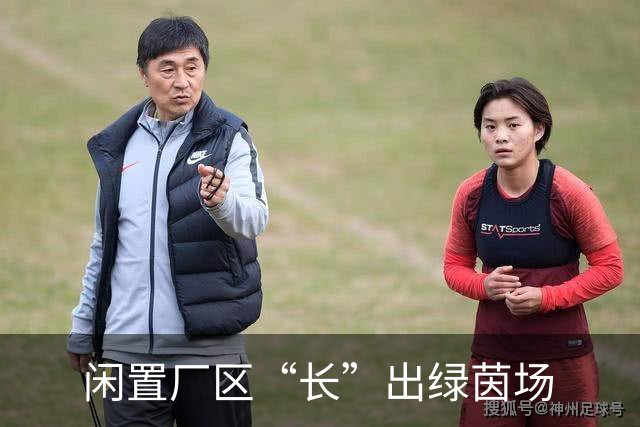 闲置厂区“长”出绿茵场